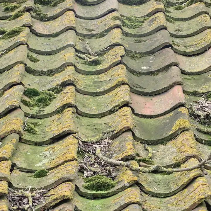 Clay pantile — photographic texture from a licensed roof photograph